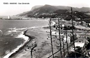 Tenes-Marine - Vue Generale
